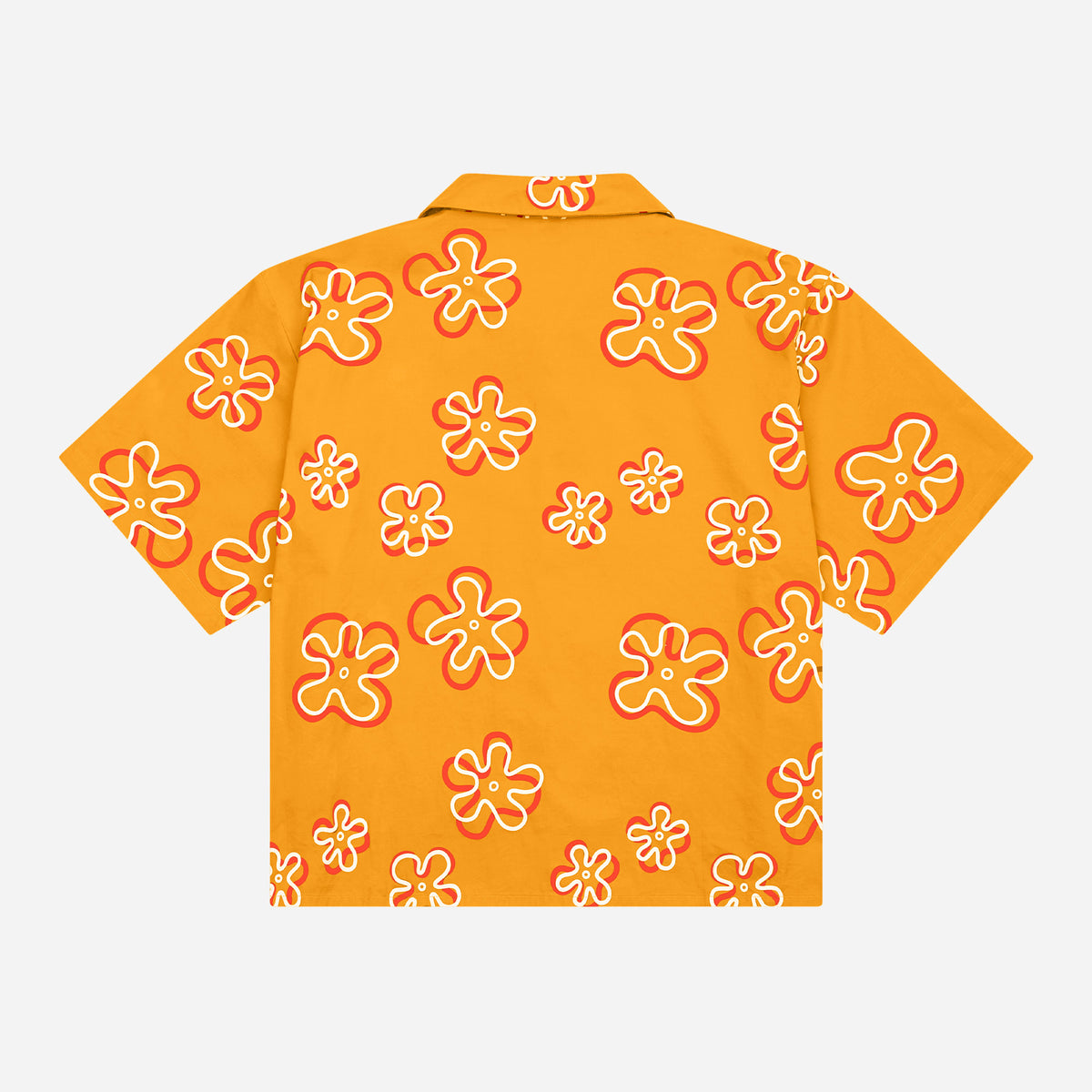 Sponge Button Up